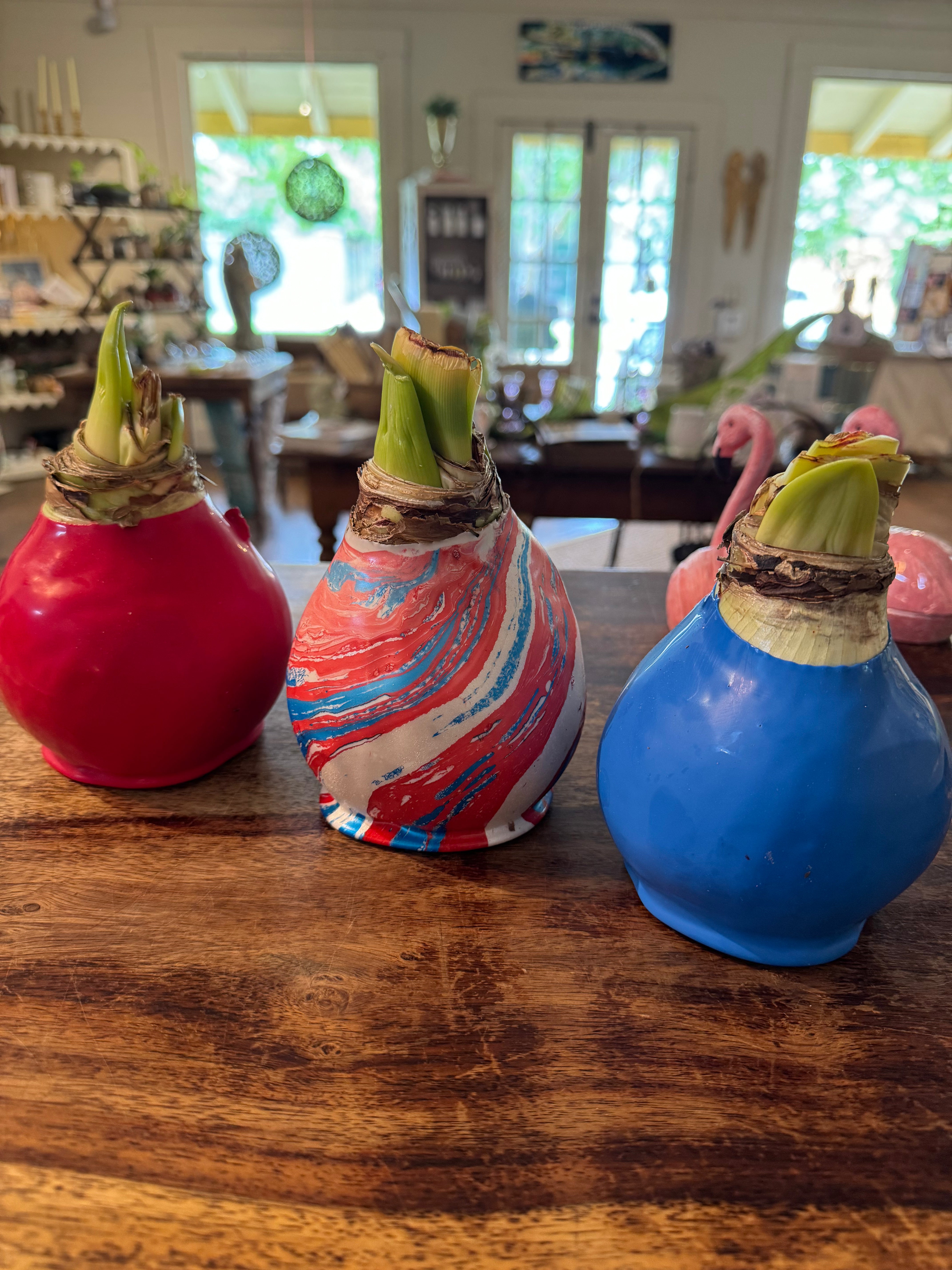 Waxed Bulbs
