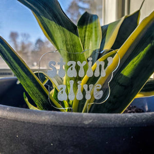 Acrylic Plant Stake